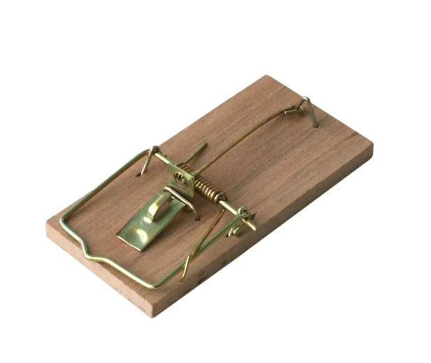 Houten muizenval BROS