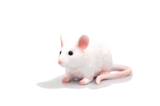Mojo figuur muis
