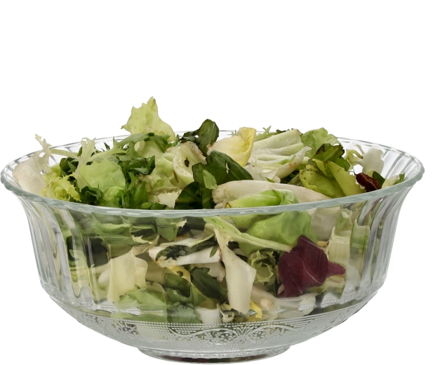 Glazen slakom 20 cm, 1,42 l