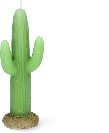 Kaars in de vorm van een cactus 17,5 cm – decoratieve paraffinekaars