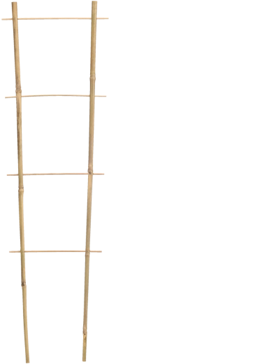 Bamboe tuinsteun 90 × 35 cm, diameter 10/12 mm