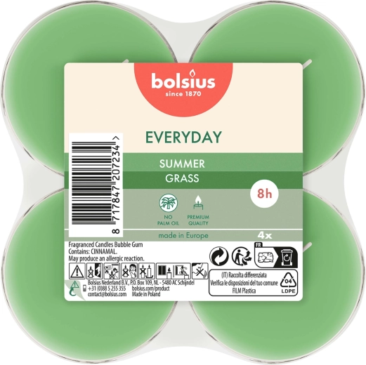 Maxi-theelichtjes Summer Grass, set van 4 stuks