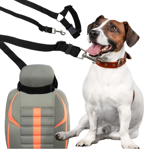 Autoband voor hond en kat