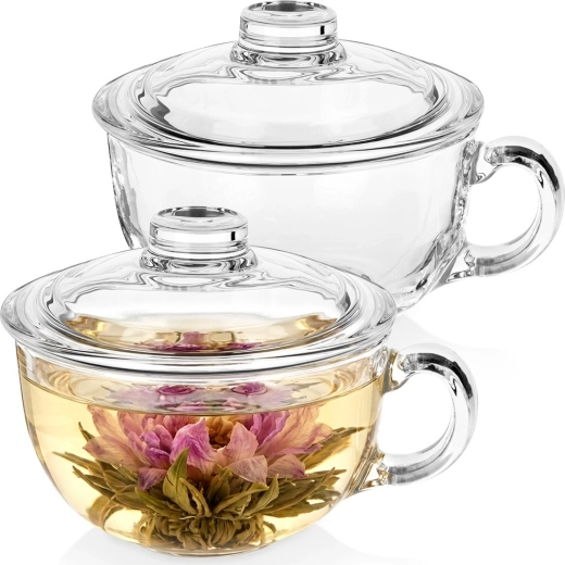 Glazen mokken met deksel 520 ml – set van 2 stuks