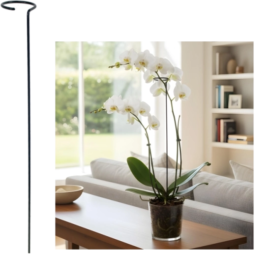 Eenvoudige plantensteun 60 cm