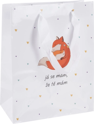 Cadeaupapieren tas „Ik heb het…“ 26 × 10 × 32 cm