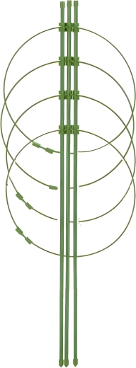 Ronde plantensteun, 90 cm, 4 ringen, groen