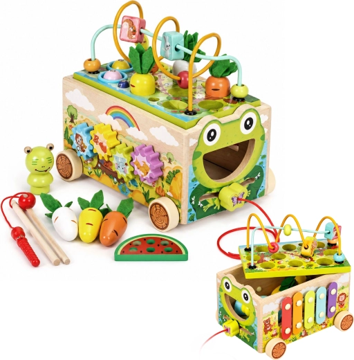 Houten multifunctionele activiteitenkubus met loopwagen in de vorm van een kikker ECOTOYS