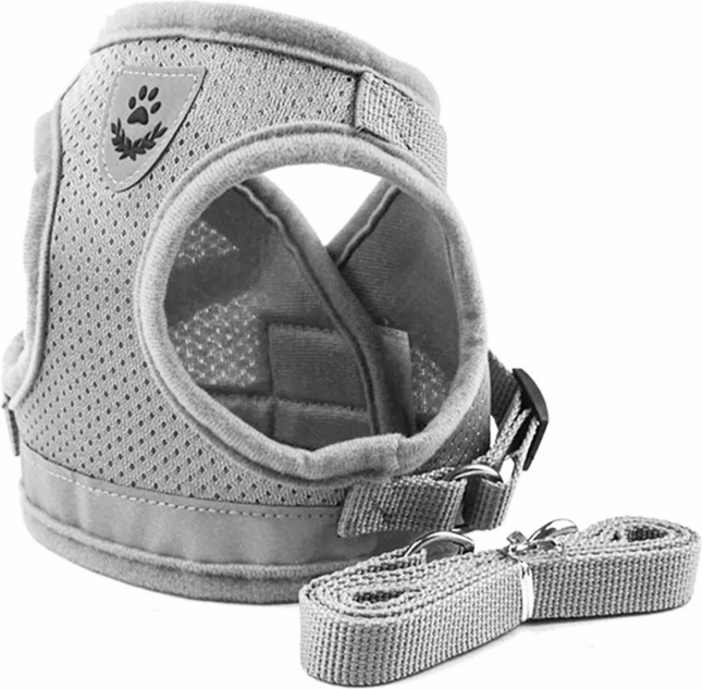 Stressvrije tuigen voor katten met riem