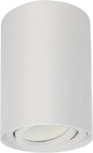 Plafondspot GU10 Wit