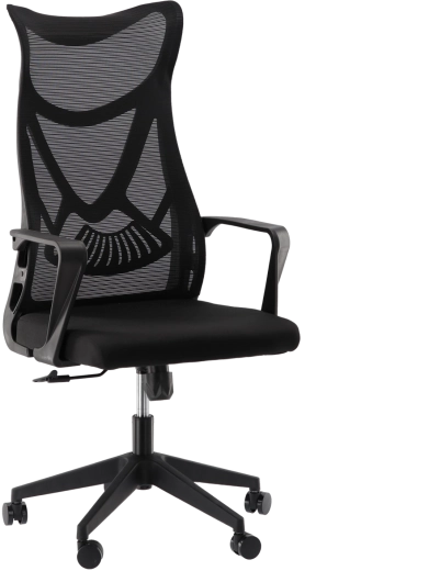 Ergonomische bureaustoel MASKINO met ademende netstof