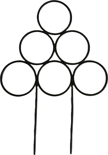 Plantensteun voor kamerplanten 25 × 35 cm zwart