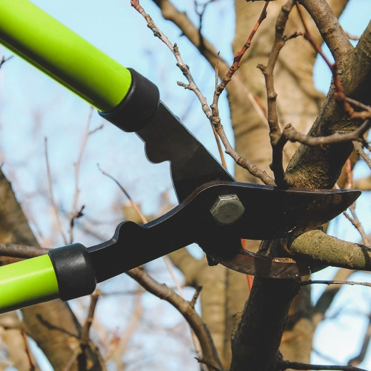 Tuinsnoeischaar voor takken met stalen blad