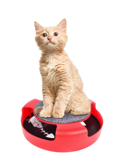 Interactief rond kattenspeelgoed met muis en krabmat 25 × 25 × 7 cm