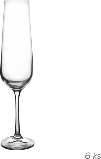 Sandra champagneglazen 0,2 l, 6 stuks