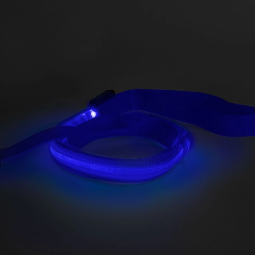 LED-hondenriem met accu, 120 × 2,5 cm, blauw