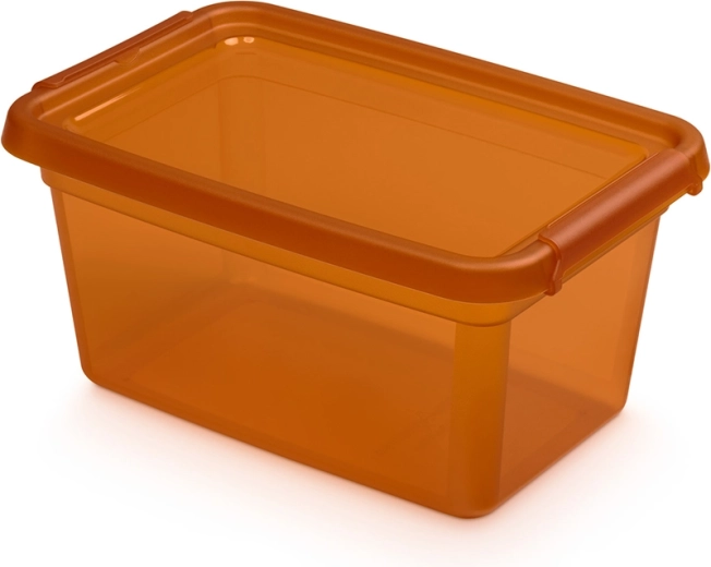 Basestore opbergdoos met deksel en clips 4,5 l amber