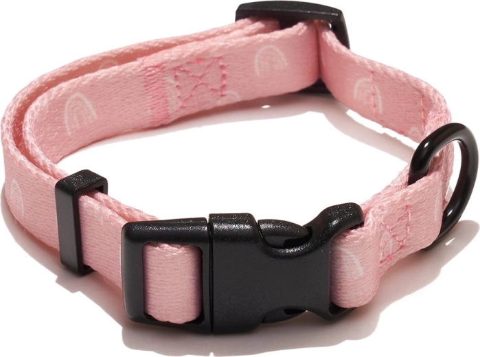 Explorer Dog halsband Regenboog S