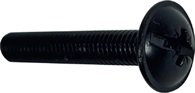 Schroef met raamkop M5 × 30, zwart – set van 10 stuks