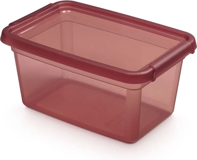 Basestore opbergdoos met deksel en clips 4,5 l rhubarb