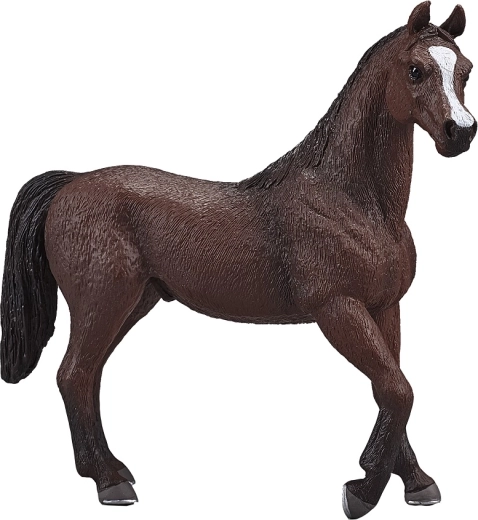 Mojo Arabische Hengst