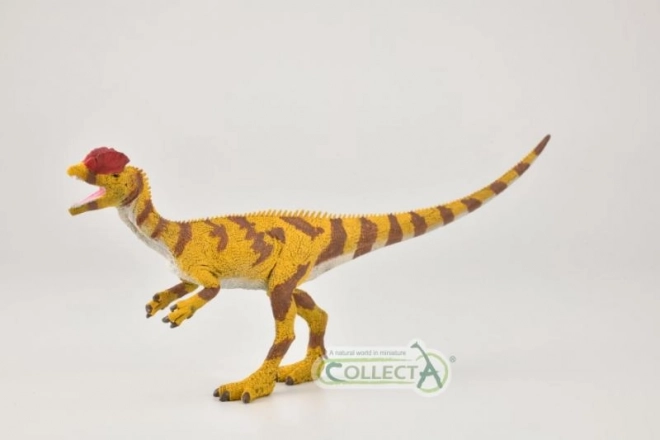 Collecta Dilophosaurus figuur