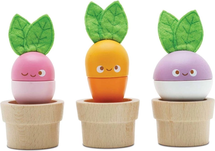 Le Toy Van bloempotjes met groenten