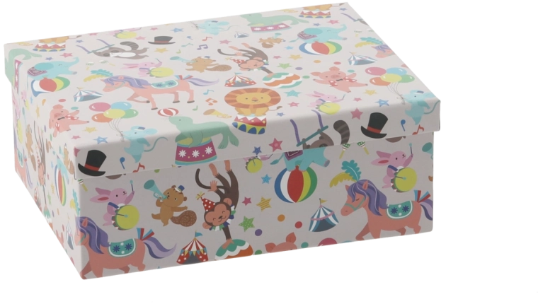 Cadeaudoosje met kleurrijke dieren 21,5 × 16,5 × 8,4 cm