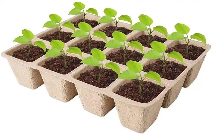 Papieren kweektray 21 × 17 × 5 cm – set van 5 stuks