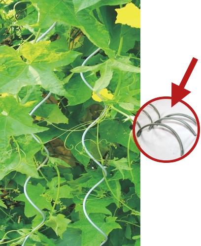 Aluminium spiraalstok voor planten 10 mm, 180 cm