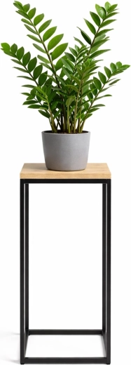 Bloemenstandaard RENEW FORCE fos-tall 63 cm, 24 × 24 cm