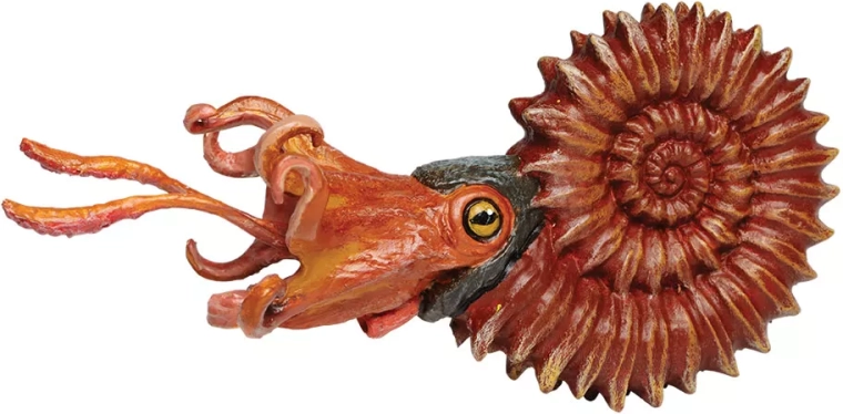 Safari Ltd. ammoniet – handgeschilderd figuurtje
