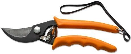 Tuin­snoeischaar met dubbele snede 21 cm