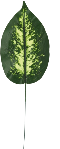 Set van kunstmatige dieffenbachia-takjes, 12 stuks