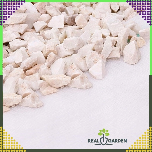 Witte agrotextiel 70 g/m² 1,6 × 100 m tegen onkruid + ankers UV