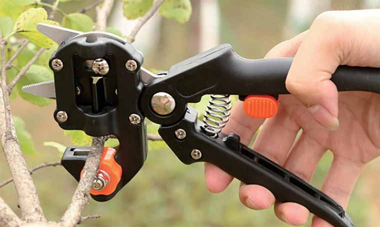 Enttuinschaar van roestvrij staal 21 cm