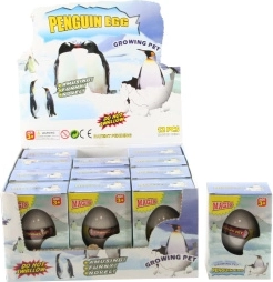 Ei met groeiende pinguïn voor in water