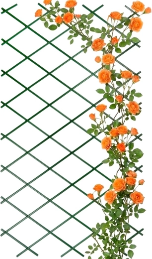 Groene uitschuifbare trellis voor klimplanten 200 × 100 cm