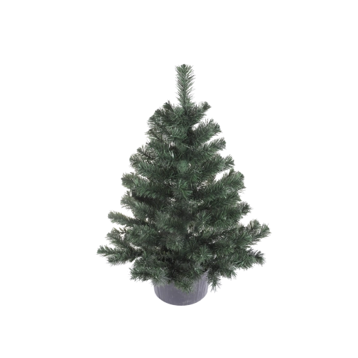 Spar Montana in bloempot 80 cm - 1 stuk