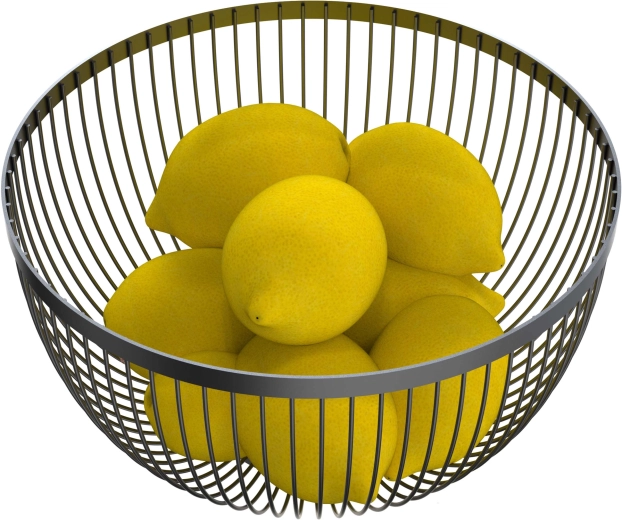 Draadmand voor fruit zwart 24,6 × 14,6 cm