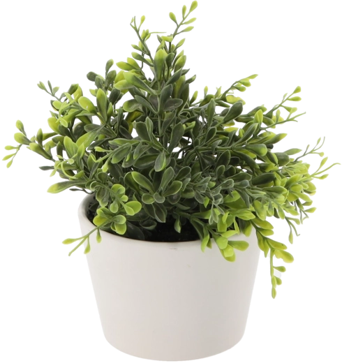 Kunstmatige buxus in witte bloempot, 30 cm