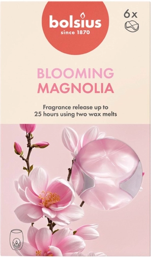Geurwaxen met magnolia, set van 6 stuks