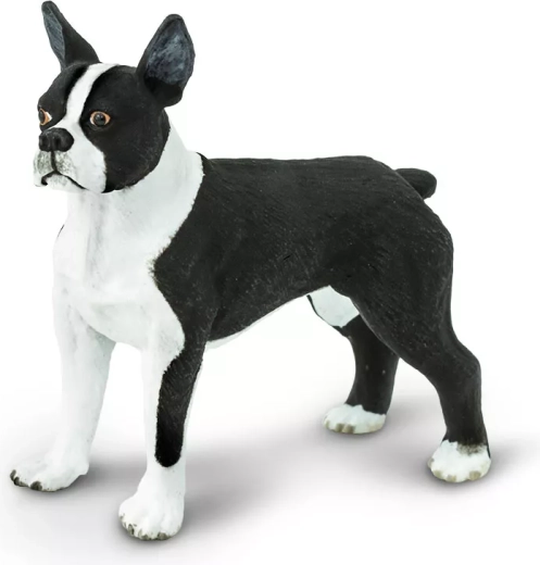 Safari Ltd. figuur Bostonterriër