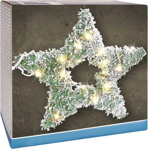 Lichtgevende ster met LED, 58 cm, besneeuwde den
