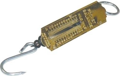 Draagbare veerweegschaal 25 kg