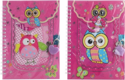 Notitieboekje met slotje uiltjes