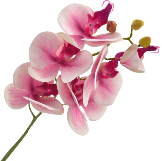 Kunstorchidee roze 72 cm