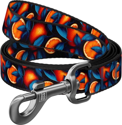 Nylon hondenriem met sinaasappelmotief 122 cm Waudog
