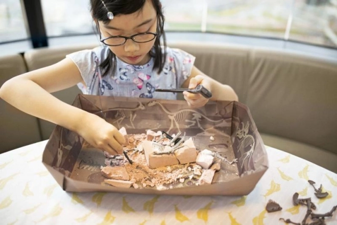 Dinosaurusskelet - Brachiosaurus