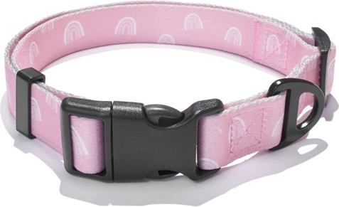 Explorer Dog halsband Regenboog L (41–66 × 2,5 cm)
